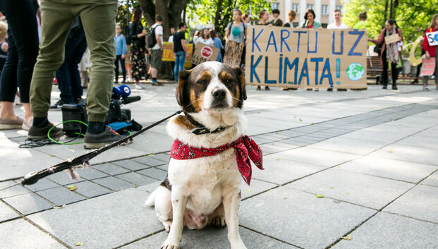 Protestuojantys aktyvistai: klimato kaita ir masi&scaron;kai nykstančios rū&scaron;ys yra tiesiogiai susiję