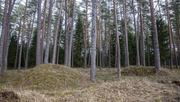 Ministrų kabinetas pritarė siūlymui i&scaron;plėsti Biržų ir Gražutės regioninių parkų ribas