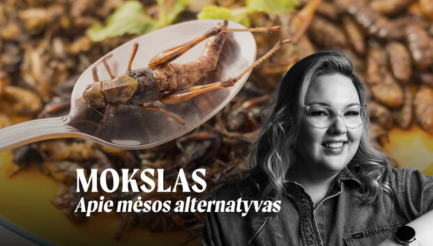 Mokslas apie mėsos alternatyvas: ar ateityje vietoje mėsos valgysime vabzdžius?