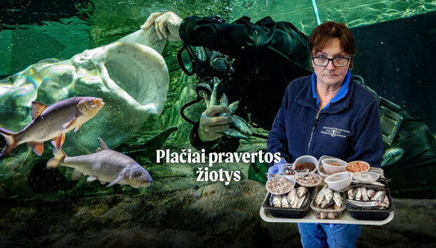 Plačiai pravertos žiotys: restoranas jūrų muziejaus žuvims