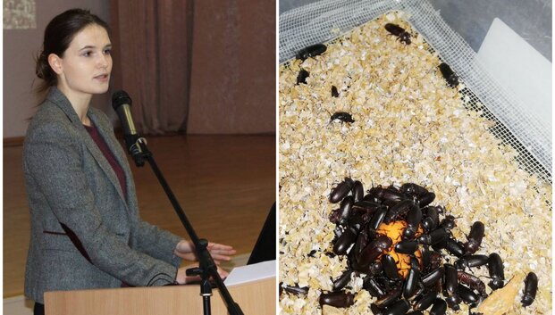 Vabzdžius maistui auginanti lietuvė: nuo pasaulio atsiliekame kokiais 5-eriais metais!