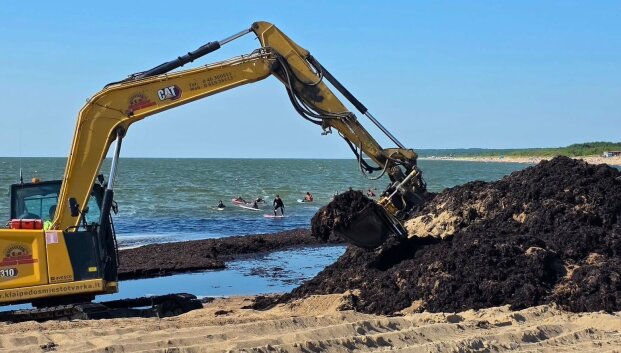 Palanga jau apsitvarkė, bet viename Klaipėdos ruože &ndash; vis dar dumblių kalnai
