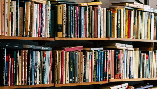 Testas literatūros aistruoliams: i&scaron; kokių puikiai žinomų knygų yra &scaron;ios 12 citatų?