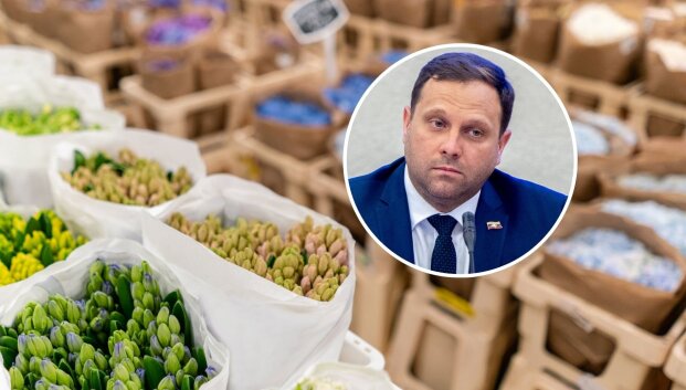 Buvęs ministras Hofmanas prabilo apie mįslingus įdarbinimus Augalininkystės tarnyboje