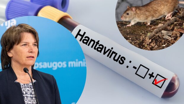 &bdquo;Hantavirusų yra ir Lietuvoje&ldquo;: imunologė &ndash; ką apie užsikrėtimą turi žinoti lietuviai