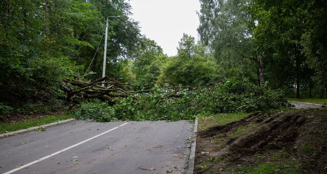Stiprus vėjas Vilniuje varto daiktus