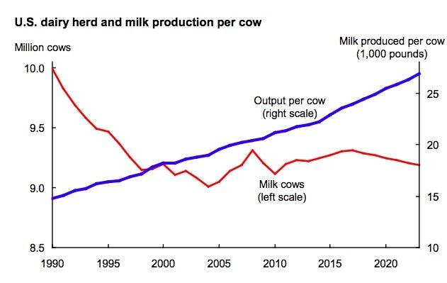 JAV Žemės ūkio departamento informacija/Karvių skaičius mažėja, tačiau jos duoda vis daugiau pieno