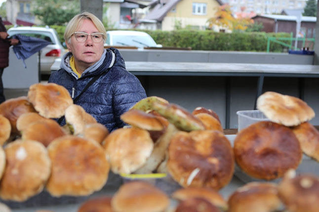 Egidijaus Jankausko nuotr./Naujajame turguje sutikta klaipėdietė sakė labai mėgstanti grybauti, baravykų prisirenkanti tiek, kad nesuvalgo, tad parduoda.