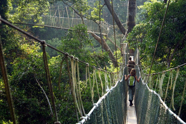 K.Žukausko nuotr./„Beždžionių tiltas“ Malaizijoje