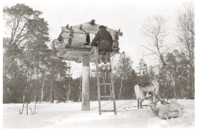 Karl Nickul, Fenno-Ugric Picture Collection, Finnish Heritage Agency nuotr./Tradicinis samių „Niliaitta“ namelis, naudotas kaip maisto saugykla