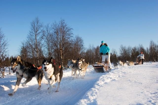 Slidinėjimo kurortas „Levi“ / Suomija