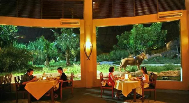 Bali.mehthesheep.com nuotr./Vakarienė su liūtais