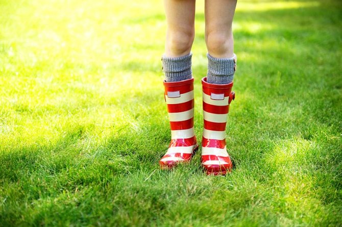 Shutterstock nuotr./Guminiai batai