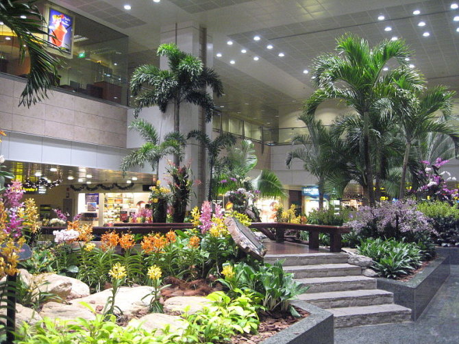 Wikimedia.org nuotr./Čangi oro uoste Singapūre
