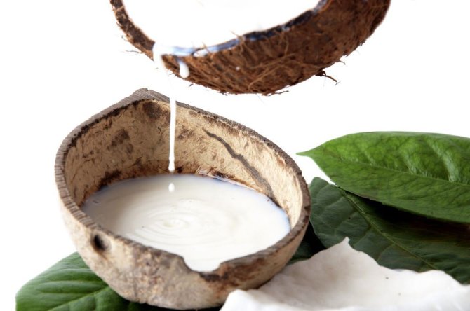Fotolia nuotr./Iš kokosų minkštimo išspaustas saldaus skonio kokosų pienas plačiai vartojamas Rytų kraštų ir vegetariškoje virtuvėje.
