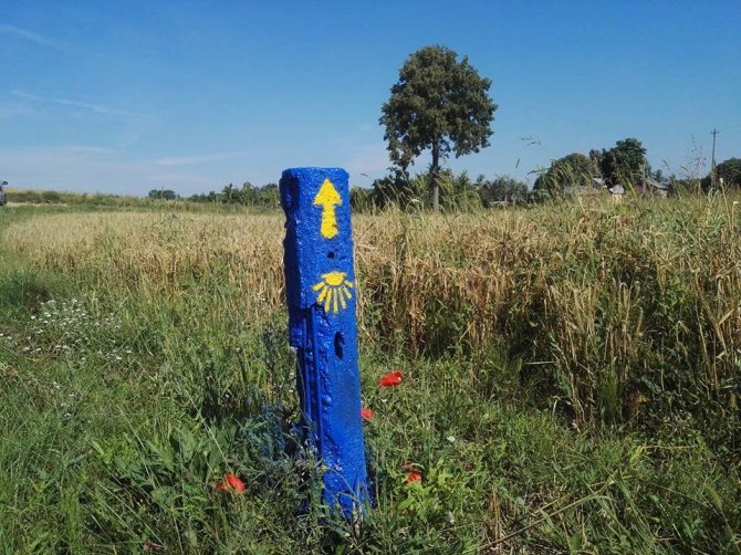 Organizatorių nuotr./„Camino Lituano“