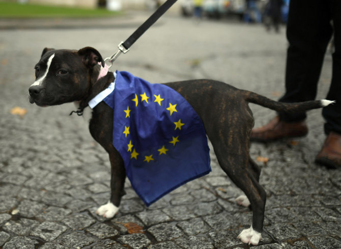 „Reuters“/„Scanpix“ nuotr./Tūkstantis šunų su šeimininkais Londone protestavo prieš „Brexit“