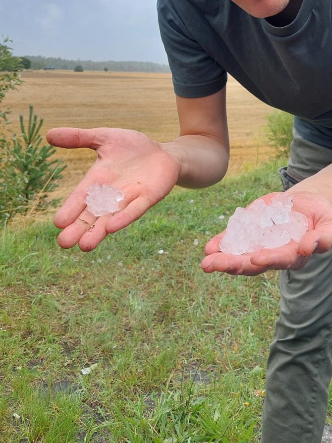 15min skaitytojos Sigitos nuotr./Kruša Musninkuose