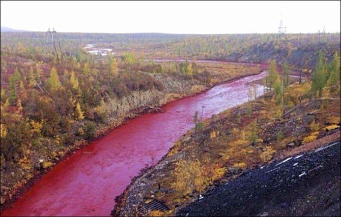 „Twitter“ nuotr./Upė Sibire nusidažė ryškiai raudona spalva
