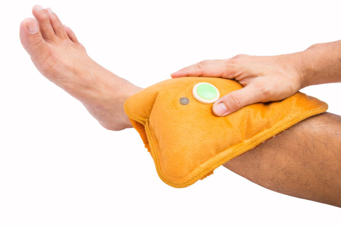 Shutterstock nuotr./Šalčio terapija kojoms