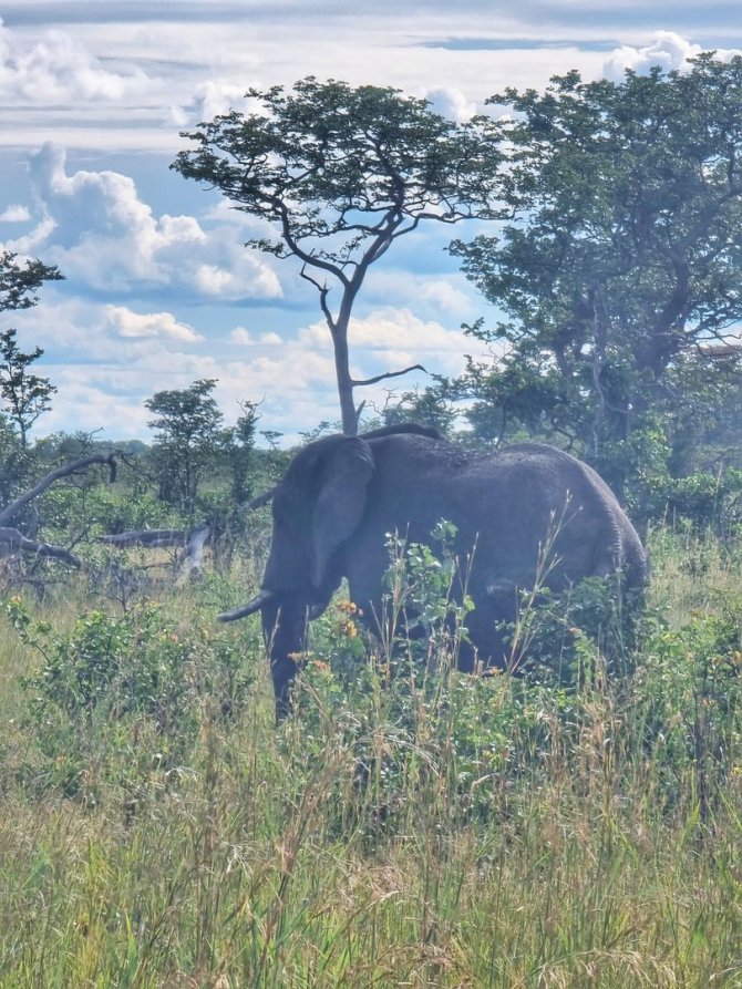 Asmeninio archyvo nuotr./Algirdo kelionė per Afriką dviračiu