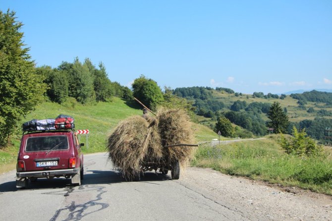 A.Šašio nuotr./Šalies kontrastai