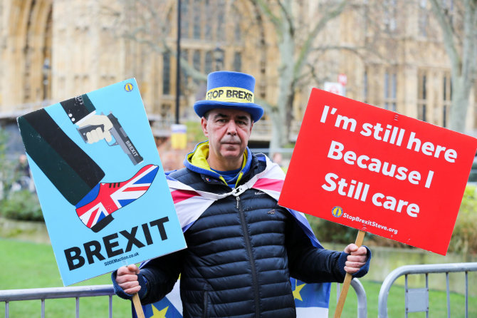 „Scanpix“ nuotr./Protestuotojas prieš „Brexit“