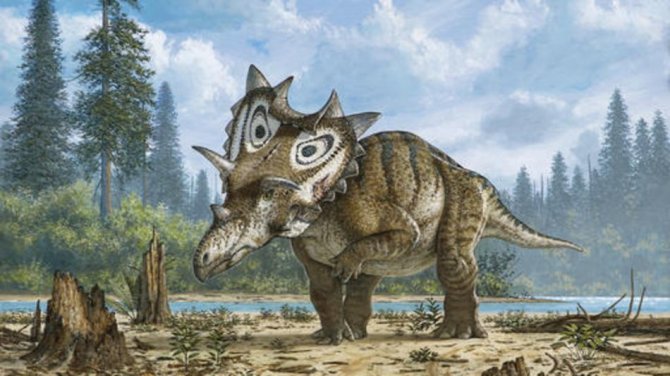Kanados muziejaus nuotr./Dinozaurai Spiclypeus shipporum
