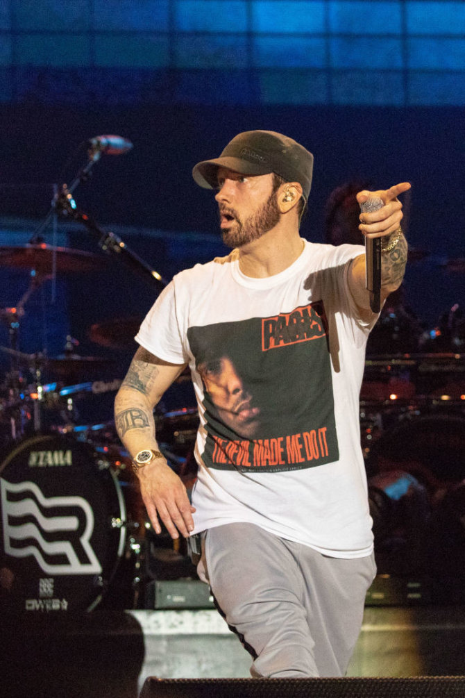 Vida Press nuotr./Eminemas „Bonnaroo“ muzikos festivalyje