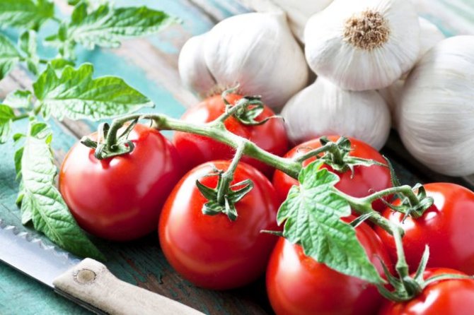 Fotolia nuotr./Kaip sulaukti gausaus pomidorų derliaus?