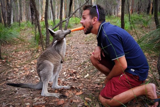 Asmeninė nuotr./Karolis Žukauskas ir kengūra Australijoje