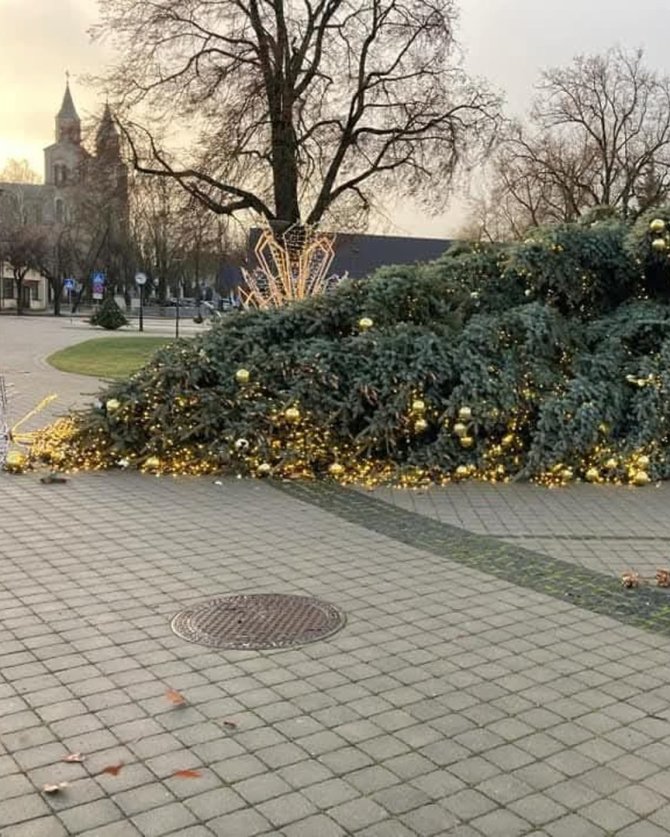 Vidos Ivanauskienės nuotr./Nuvirto Vilkaviškio Kalėdų eglė