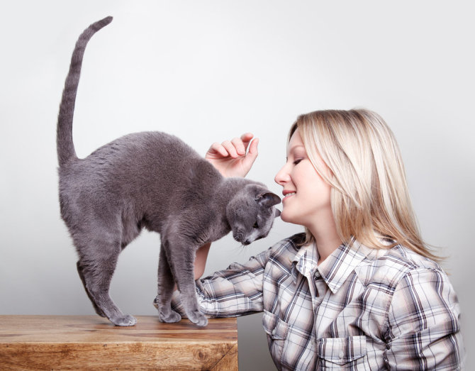 Shutterstock nuotr./Moteris su kate.