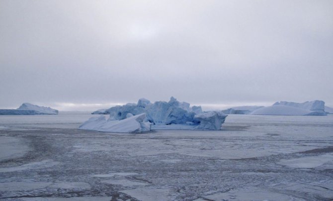 „Reuters“/„Scanpix“ nuotr./Arkties jūra