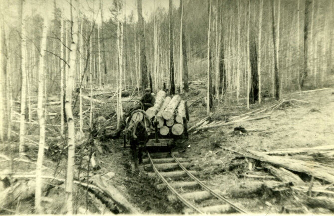 Lietuvos gyventojų genocido ir rezistencijos tyrimo centro archyvo nuotr./Lietuviai tremtyje. Su arkliuku bėgiais veža mišką. Novostrojka, Zaigrajevo r., Buriat-Mongoljos ASSR (d. Buriatijos respublika), apie 1955-1956 m.
