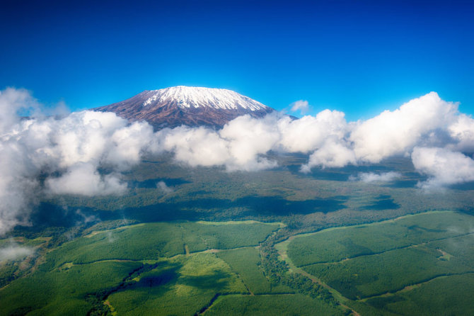Shutterstock.com/Kilimandžaras