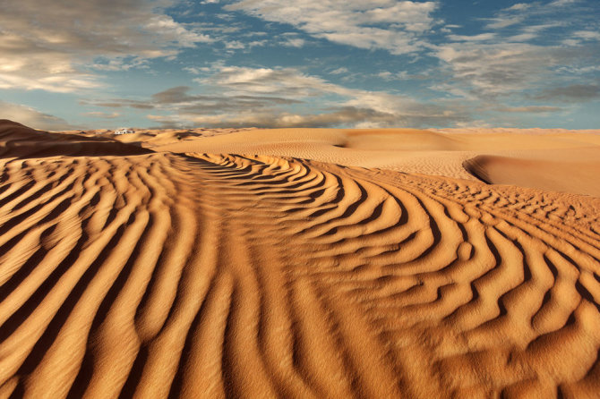 Shutterstock.com/Arabijos dykuma
