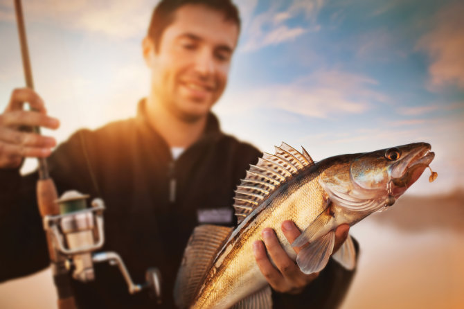Shutterstock nuotr./Sužvejota žuvis