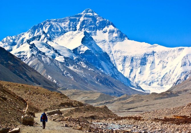 Shutterstock.com nuotr./Everestas