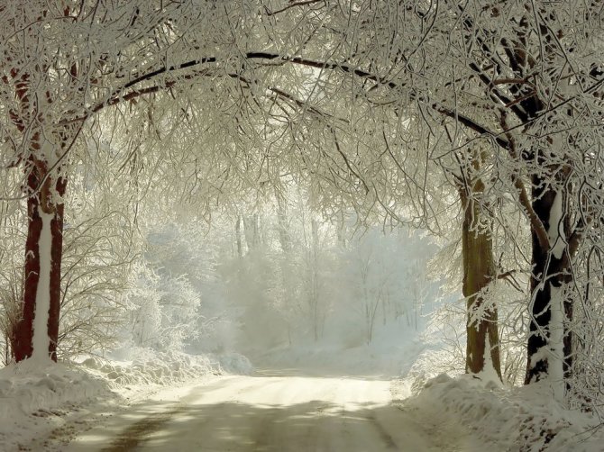 „Shutterstock“ nuotr./Žiema