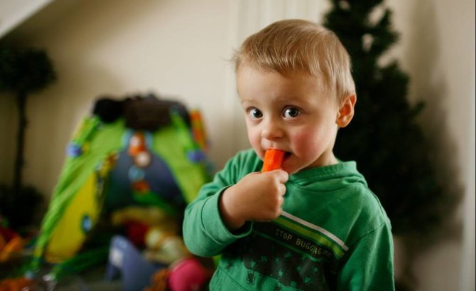 Flickr.com/Nuo vaikystės graužiamos morkos, kad akys būtų sveikos