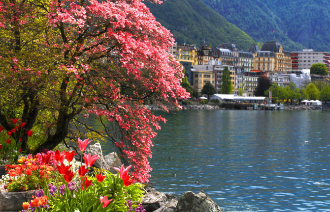 Shutterstock nuotr./Šveicarijos sostinė Ženeva