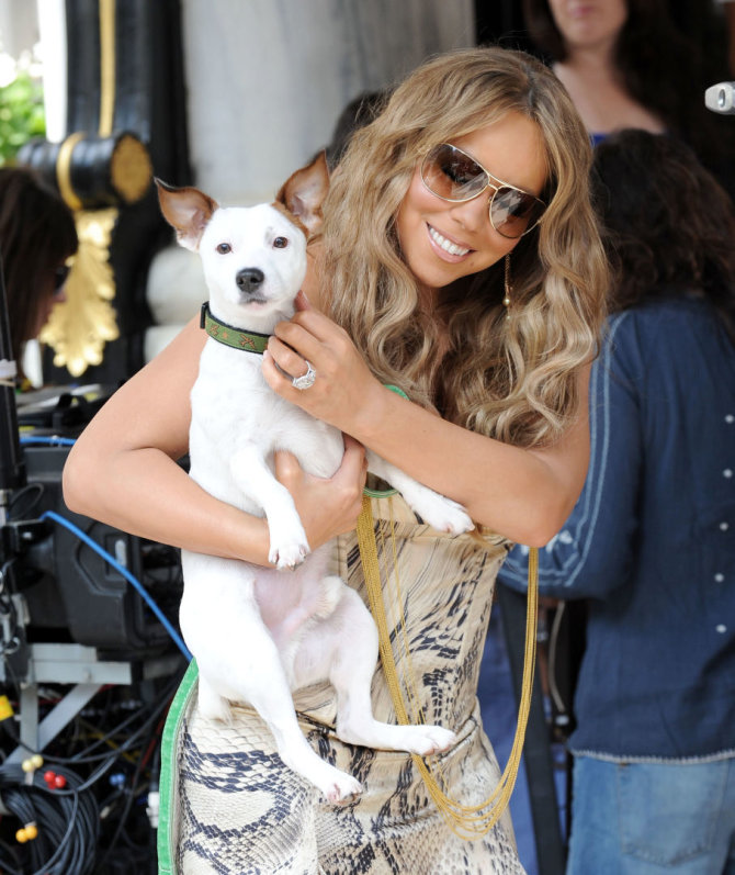 Vida Press nuotr./Mariah Carey su vienu iš savo šunų