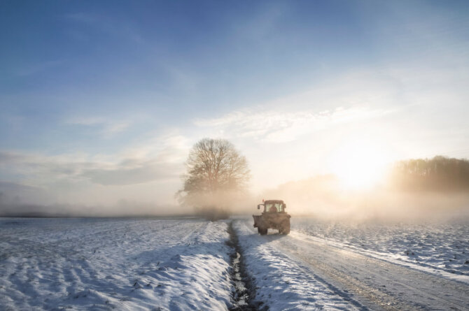 Shutterstock nuotr./Žemės ūkis žiemą.