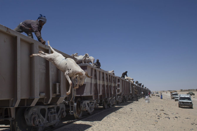 Mykolo Juodelės nuotr./Kelionė Mauritanijoje