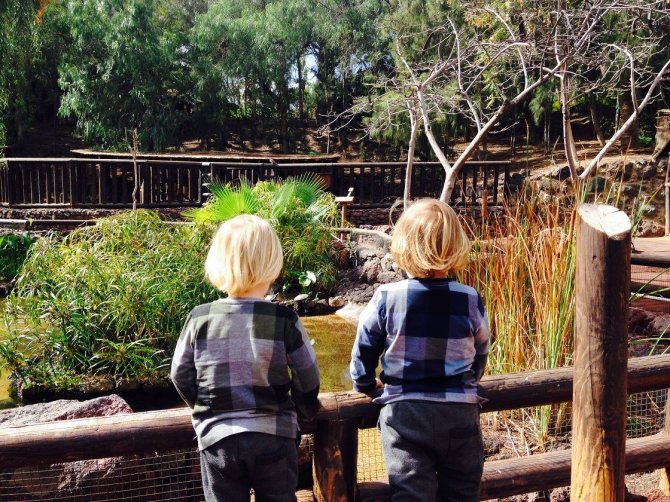 Asmeninė nuotr./Fuerteventuroje vaikams daug įdomios veiklos, pavyzdžiui, zoologijos sodas