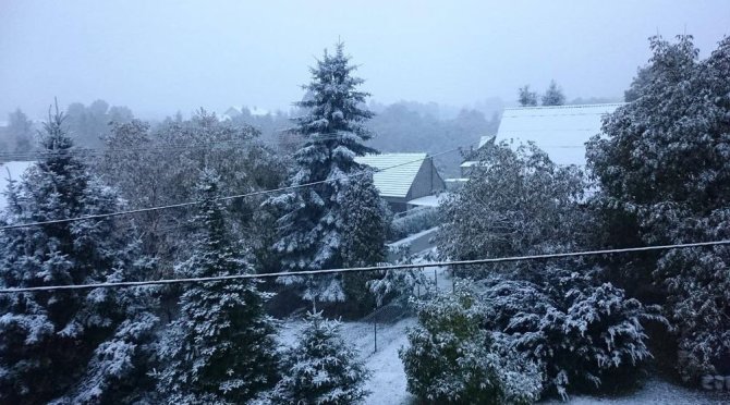 Nuotr. iš „Twitter“/Pirmasis sniegas Lenkijoje