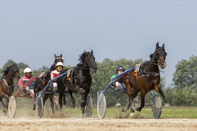 Foto av Kęstutis Vanagas/Ristūnai hesteveddeløp