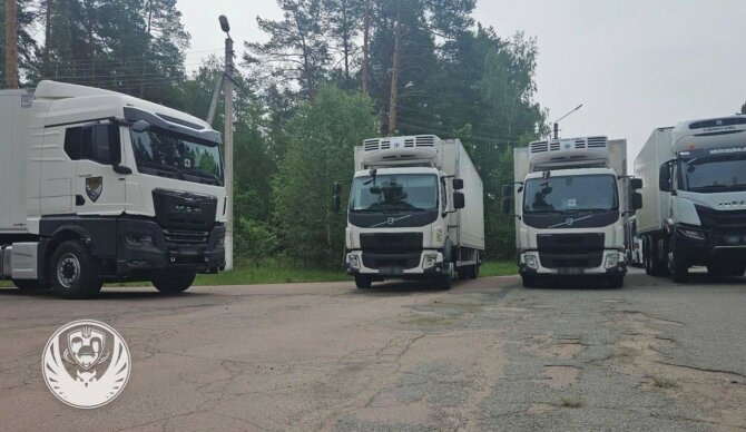 Karo belaisvių reikalų koordinavimo štabo nuotr./Į Ukrainą grąžinti žuvusių ukrainiečių karių kūnai