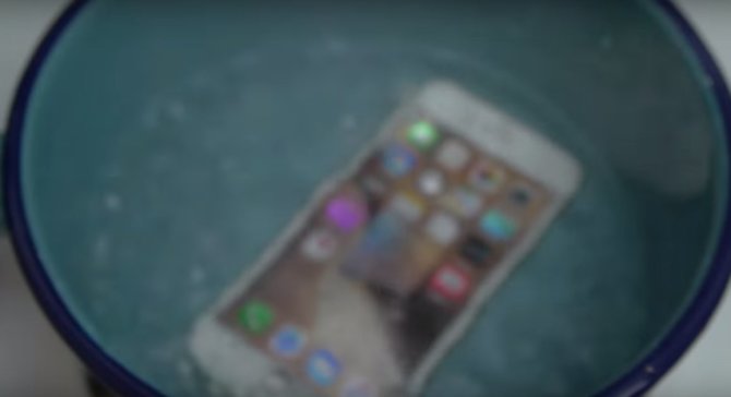 „iPhone 6s“ telefonas verdančiame vandenyje